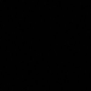 Meet your Posher, Jazmin